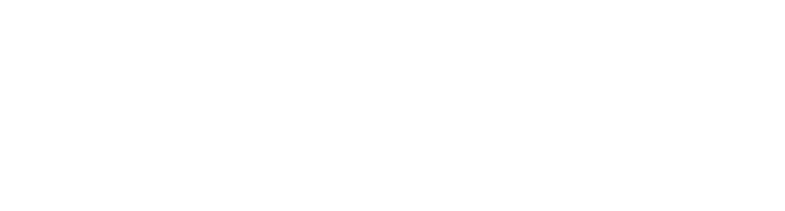 DALLMANN. Infrastructure. Software. Security.